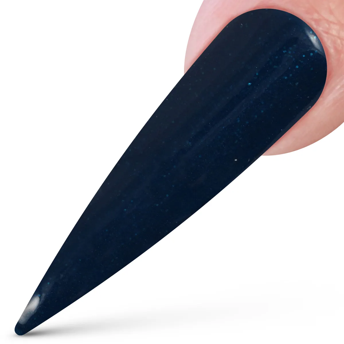 Winter Wonder Collection