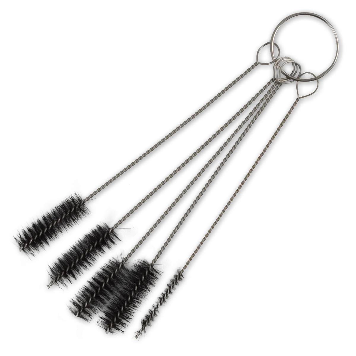 Børsterensere i forskellige størrelser