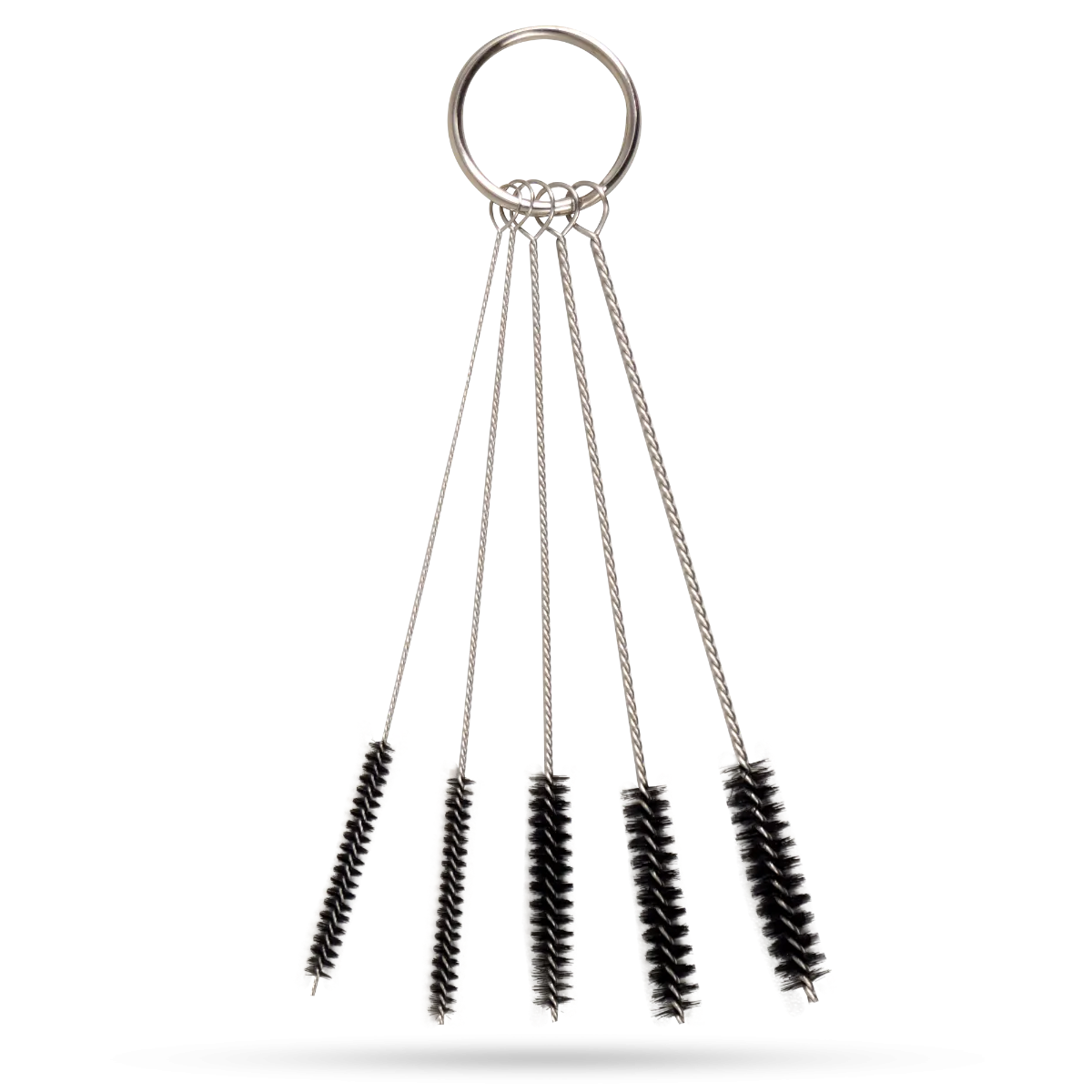 Børsterensere i forskellige størrelser