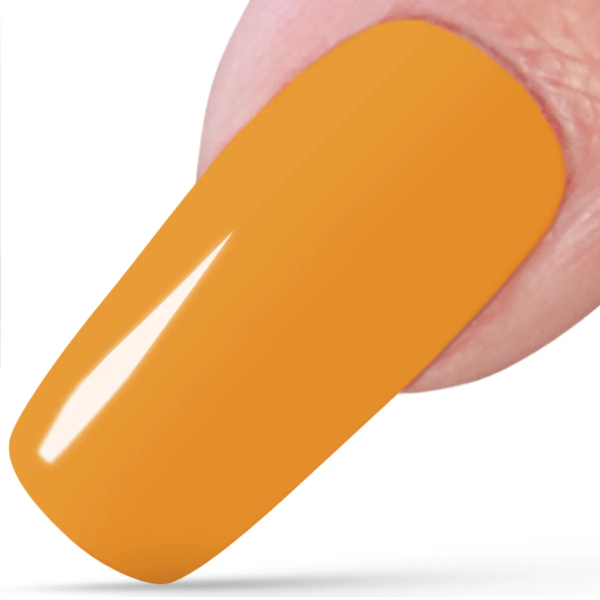 Infinity, Yellow brick road, 5ml