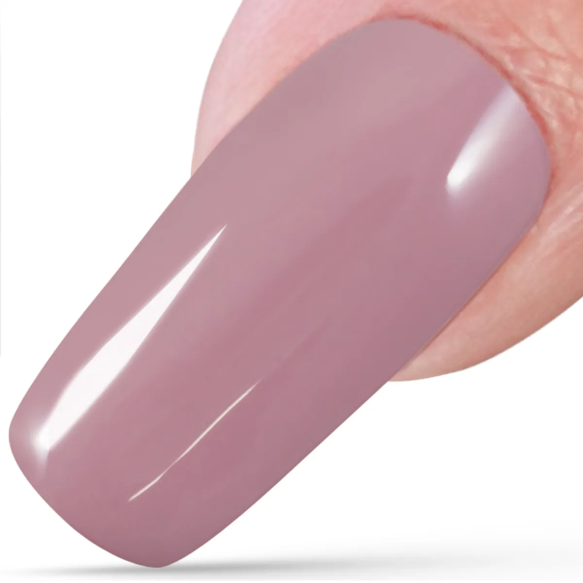 Infinity, Cold Rose, 5ml