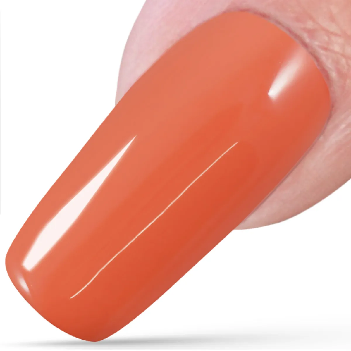 Infinity, Burnt Sienna, 5ml