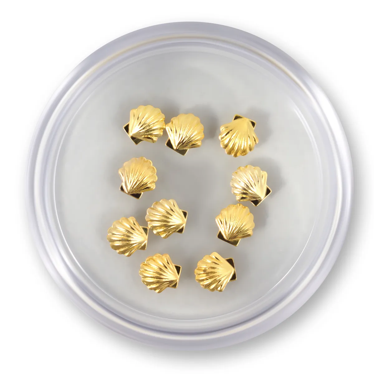 Muslingeskaller i guld, store 10 stk.