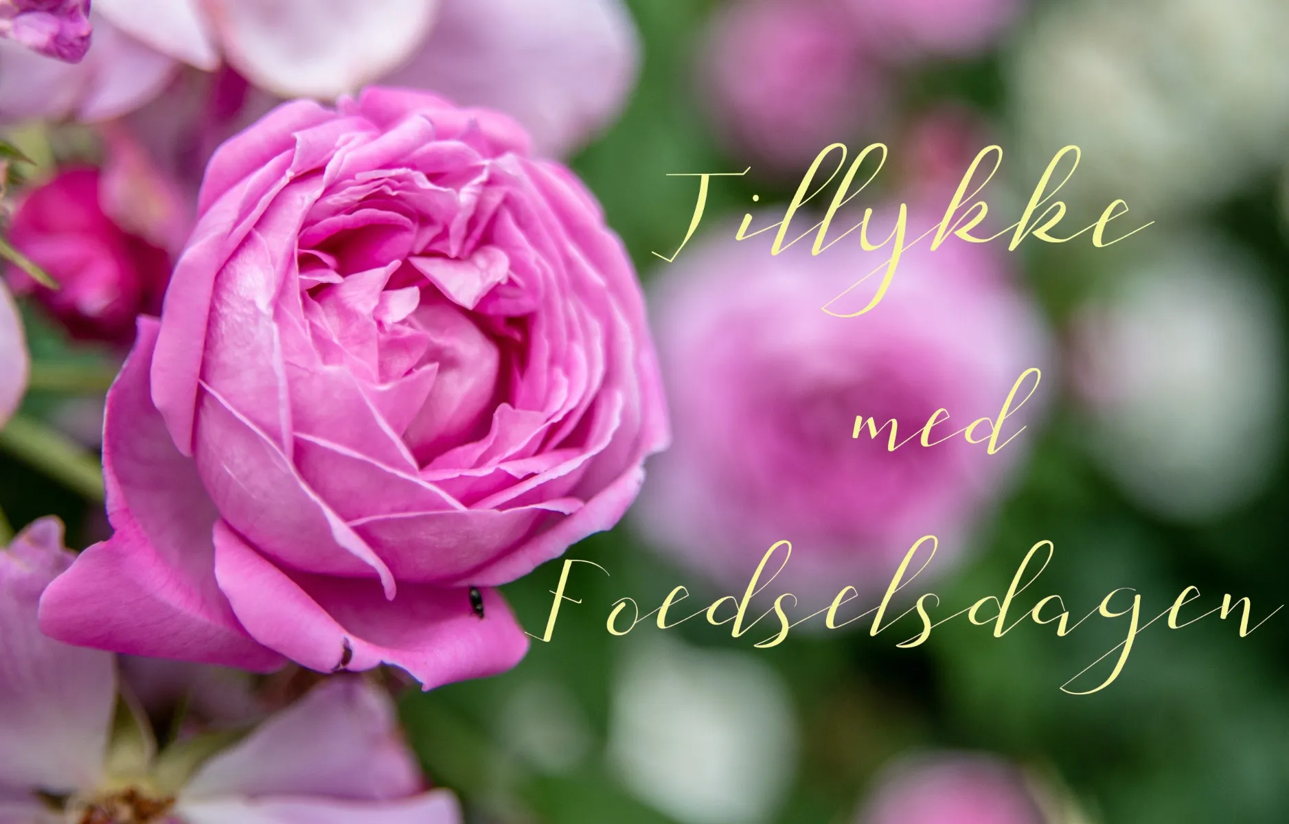 Gavekort sendt med post